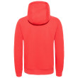 Felpa da uomo The North Face Drew Peak Pullover Hoodie