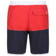 Costume da bagno da uomo Regatta Benicio SwimShort