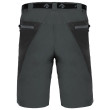 Pantaloncini da uomo Direct Alpine Vulcan Short