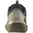 Scarpe da trekking da uomo Salomon Elixir Activ