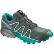 Scarpe da donna Salomon Speedcross 4 GTX® W grigio/verde BalsamGr/Tropic