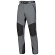 Pantaloni da uomo Direct Alpine Badile 4.0