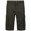 Pantaloncini da uomo Regatta Shorebay Short khaki Dark Khaki