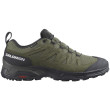 Scarpe da trekking da uomo Salomon X Ward Leather Gore-Tex