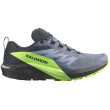 Scarpe da corsa da uomo Salomon Sense Ride 5 Gore-Tex