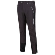 Pantaloni da uomo Regatta Mountain Wntr Trs grigio Ash/Black