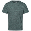 Maglietta da uomo Regatta Fingal Edition blu/verde Sea Pine