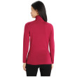 Maglietta sportiva da donna Icebreaker 260 Tech LS Half Zip