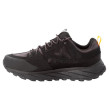 Scarpe da uomo Jack Wolfskin Terraquest Texapore Low M