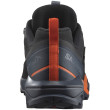 Scarpe da uomo Salomon X Ultra Alpine Gore-Tex