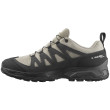 Scarpe da trekking da uomo Salomon X Ward Leather Gore-Tex