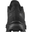 Scarpe da uomo Salomon Alphacross 3 Gore-Tex