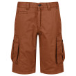 Pantaloncini da uomo Regatta Shorebay Short