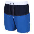 Costume da bagno da uomo Regatta Benicio SwimShort