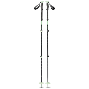 Bastoncini da skialp Black Diamond Expedition 3P Ski Poles nero/beige Desert Sage