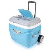 Frigorifero portatile Pinnacle Prudence 66L