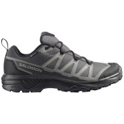Scarpe da trekking da uomo Salomon Exraise Gtx grigio Asphalt / Sedona Sage / Black