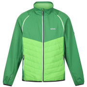 Giacca da uomo Regatta Steren Hybrid verde Field Green/Jasmine Green