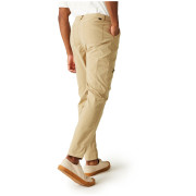 Pantaloni da uomo Regatta Dalry Trouser