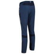 Pantaloni da uomo Regatta Mountain Trs III regular