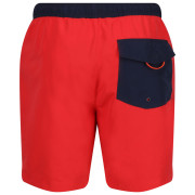 Costume da bagno da uomo Regatta Bentham swim short