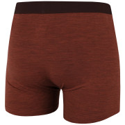 Boxer da uomo MOOA MerinoSilk 4in