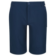 Pantaloncini da uomo Regatta Highton ShortLong