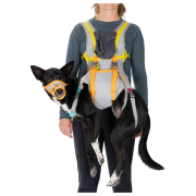 Pettorina per cane Ruffwear BackTrak™ Dog Evacuation Kit grigio/arancio Cloudburst Gray