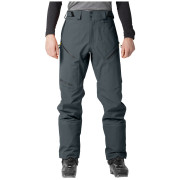 Pantaloni invernali da uomo Dynafit Ridge Gtx Pnt M
