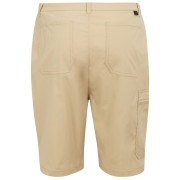 Pantaloncini da uomo Regatta Dalry Short