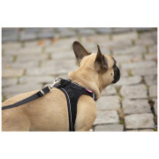 Guinzaglio per cane Curli Adjustable Leash Nylon