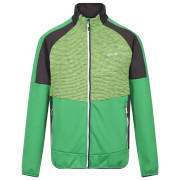 Felpa da uomo Regatta Yare VII verde Field Green/Jasmine Green