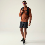 Maglietta funzionale da uomo Dare 2b Power Up IV Jersey marrone ArabianSpice