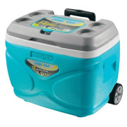 Frigorifero portatile Pinnacle Prudence 30L