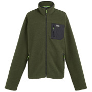 Felpa funzionale da uomo Regatta Frankie Borg Fleece khaki/nero Dark Khaki