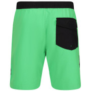 Costume da bagno da uomo Regatta Bentham swim short