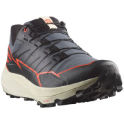 Scarpe da corsa da uomo Salomon Thundercross Gore-Tex