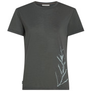 Icebreaker Merino Blend Core SS Tee Panax