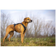 Guinzaglio per cane Curli Ultra Strong Pocket Leash