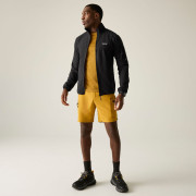 Felpa da uomo Regatta Baslinn