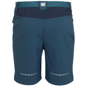 Pantaloncini da uomo Regatta Mountain ShortsII M