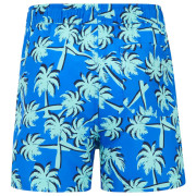 Costume da bagno per bambini Regatta Skander SBluIGrPalm