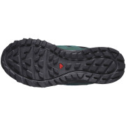 Scarpe da corsa da uomo Salomon Wander Gore-Tex