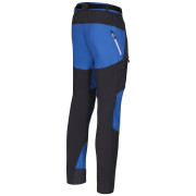 Pantaloni da uomo Direct Alpine Patrol Tech