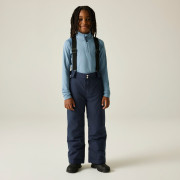 Pantaloni da sci per bambini Dare 2b Outmove III Insulated Pant Navy