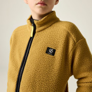 Felpa da bambino Dare 2b Zesty II Fleece Wood Brown