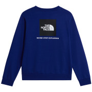 Felpa da uomo The North Face M Evolution Box Nse Regular Crew