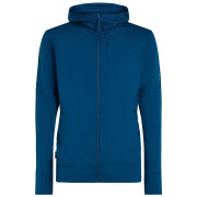 Felpa funzionale da uomo Icebreaker M Mer 260 Quantum IV LS Zip Hoodie