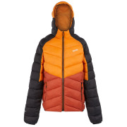 Giacca da uomo Regatta Hooded Dalent rosso/arancio Fox/RedOchre