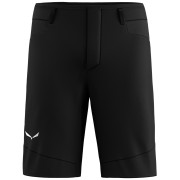 Pantaloncini da uomo Salewa Agner Dst M Shorts.